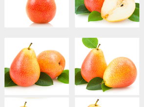 多种水果素材水果集合大全水果高清大图图片设计 模板下载 17.86MB 饮品美食大全